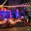PUT 'UM IN THE CIRCUS!